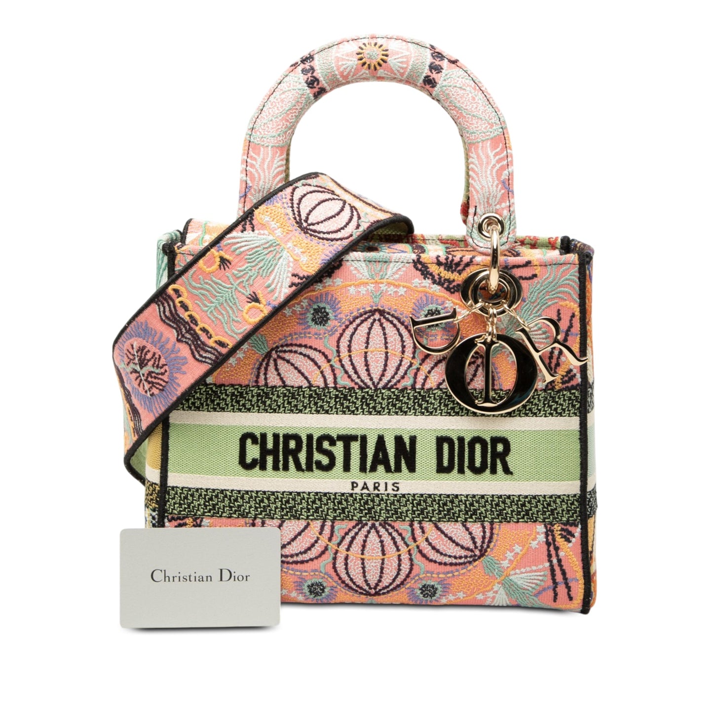 Dior Medium Embroidered Canvas In Lights Lady D Lite