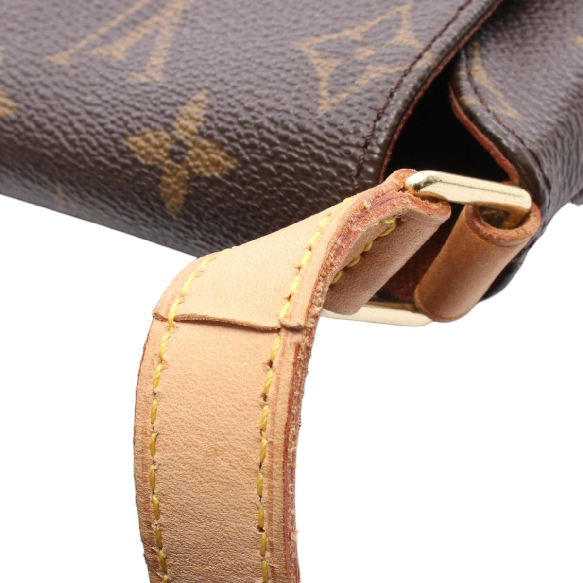 Louis Vuitton Monogram Musette Salsa PM Long Strap