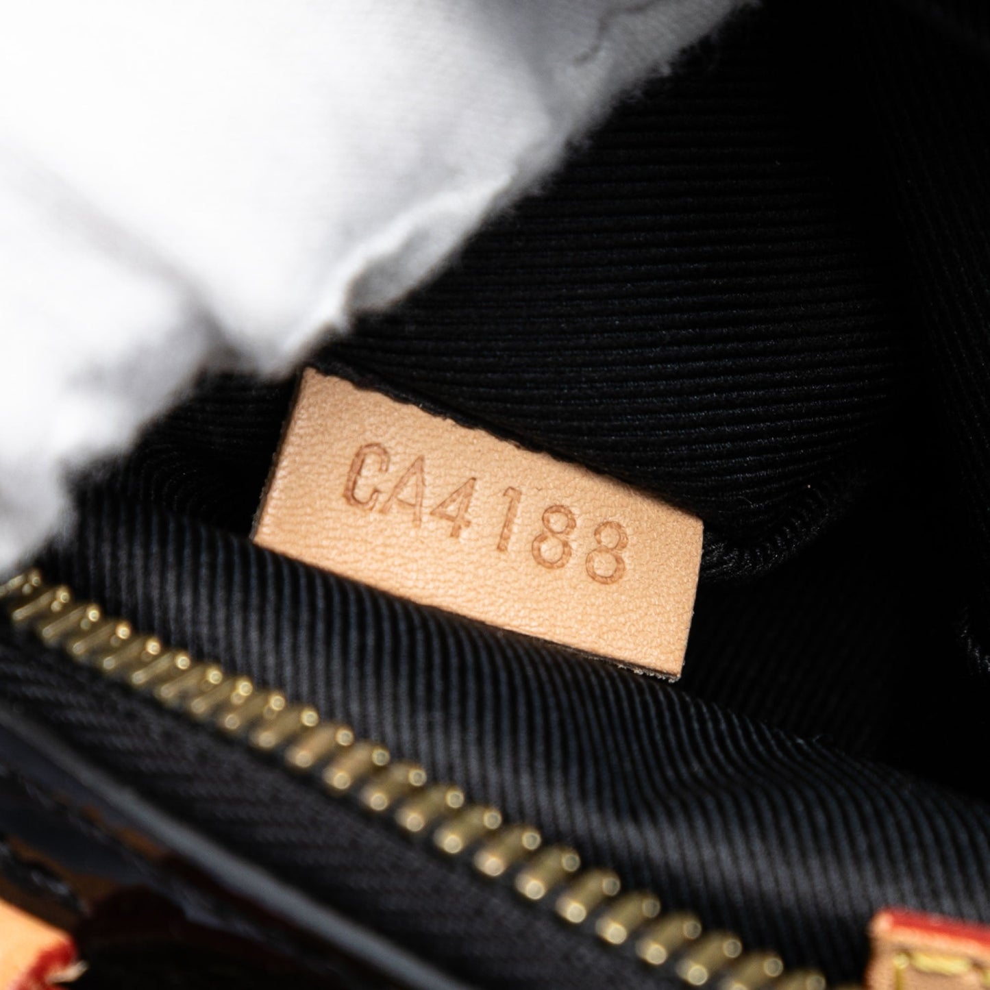 Louis Vuitton Monogram Vernis Santa Monica Camera Bag