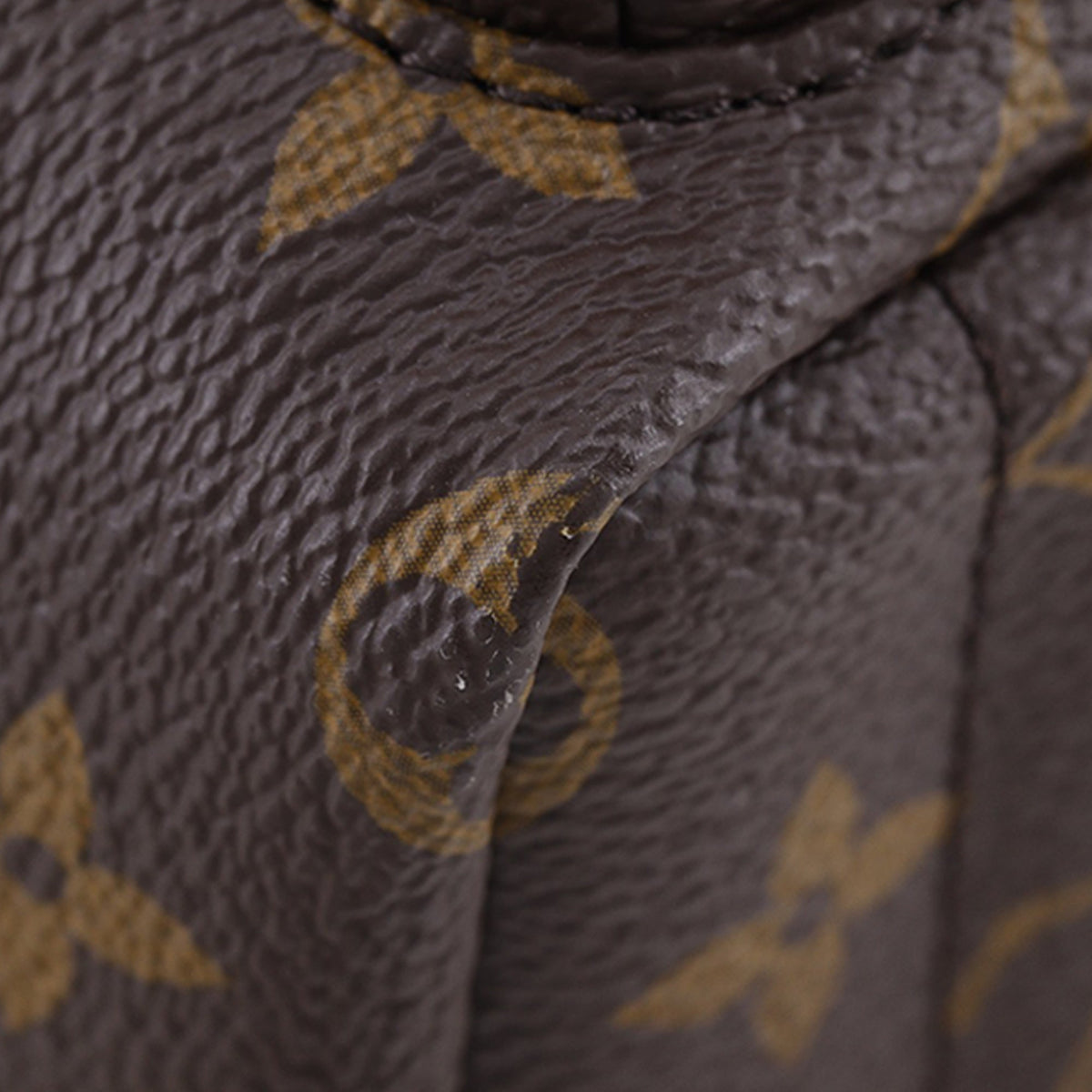 Louis Vuitton Monogram Mini Palm Springs — Brown