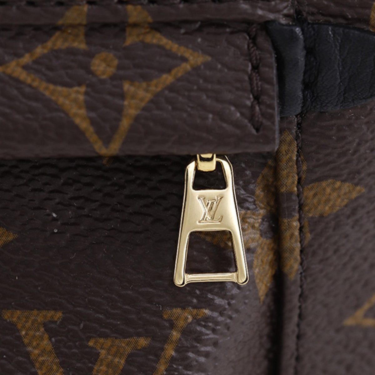Louis Vuitton Monogram Mini Palm Springs — Brown