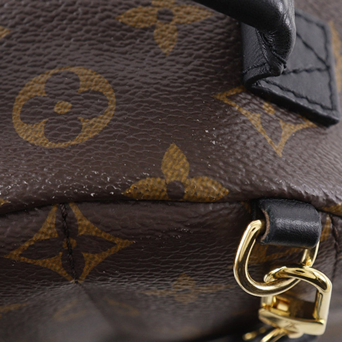 Louis Vuitton Monogram Mini Palm Springs — Brown