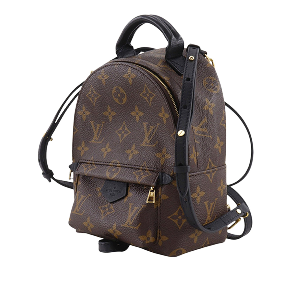 Louis Vuitton Monogram Mini Palm Springs — Brown