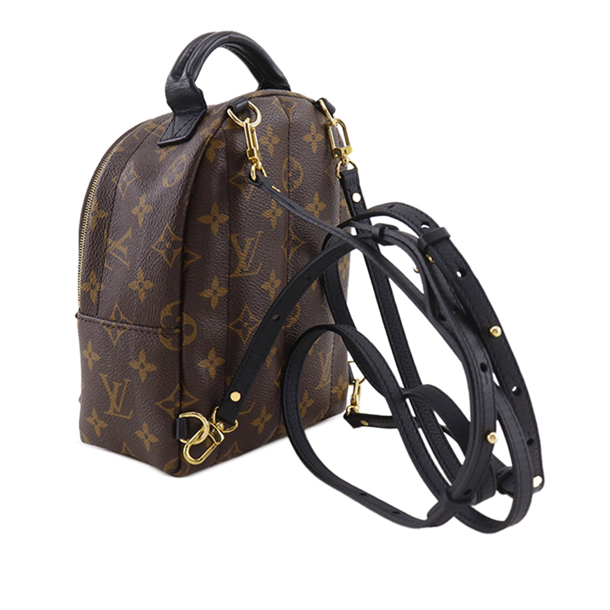 Louis Vuitton Monogram Mini Palm Springs — Brown