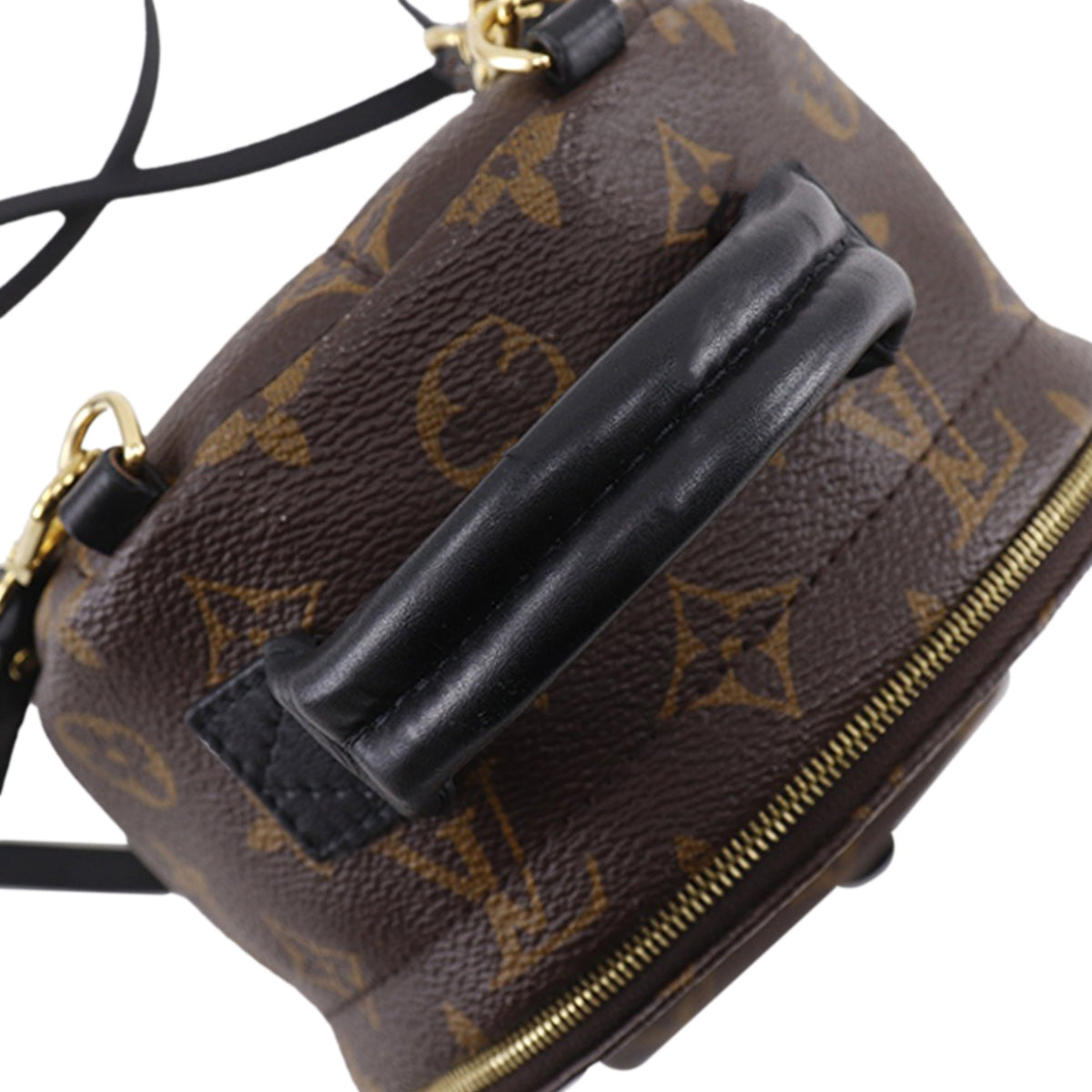 Louis Vuitton Monogram Mini Palm Springs — Brown