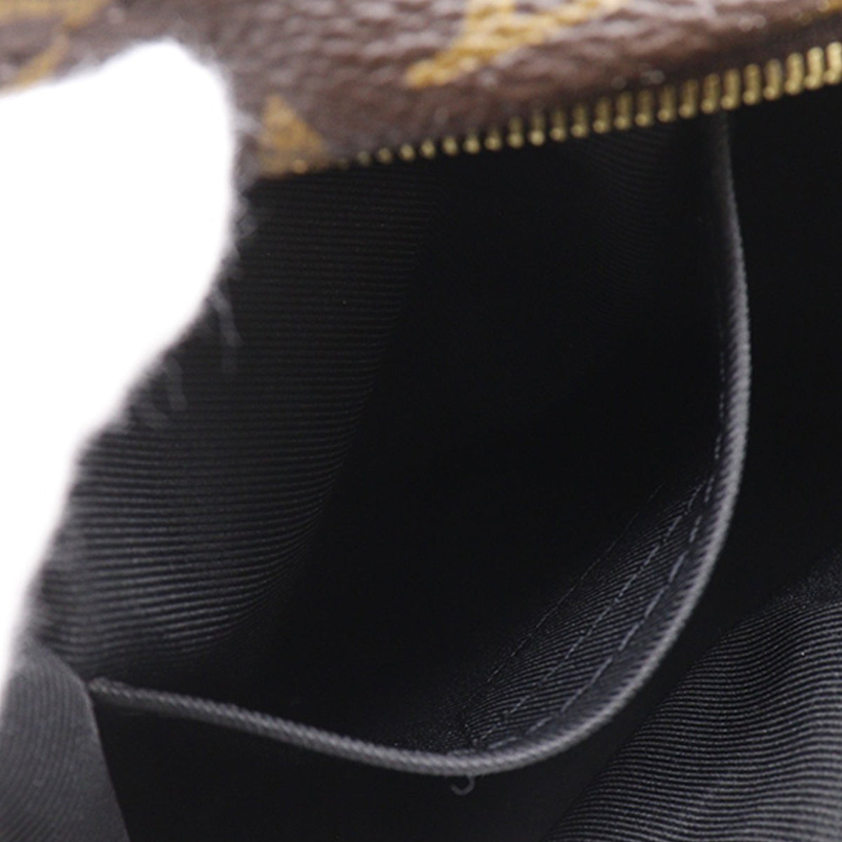 Louis Vuitton Monogram Mini Palm Springs — Brown