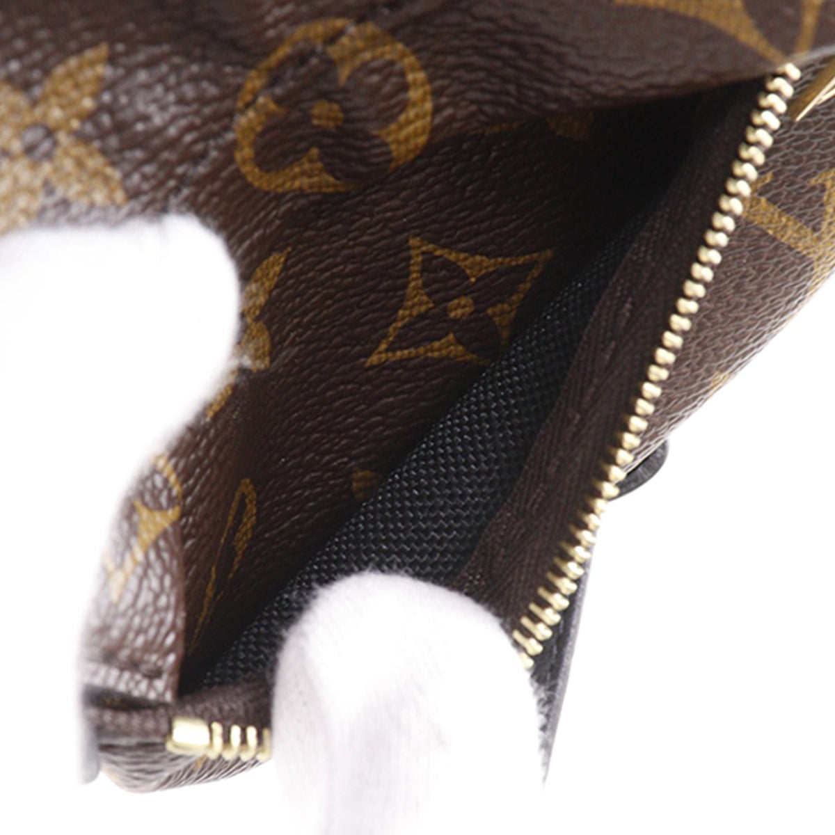 Louis Vuitton Monogram Mini Palm Springs — Brown