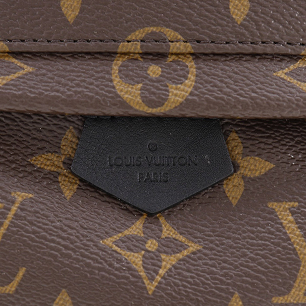 Louis Vuitton Monogram Mini Palm Springs — Brown