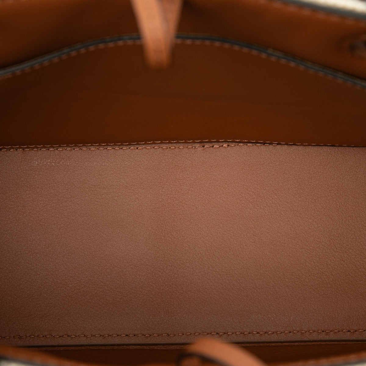 LOEWE Mini Canvas Anagram Tote