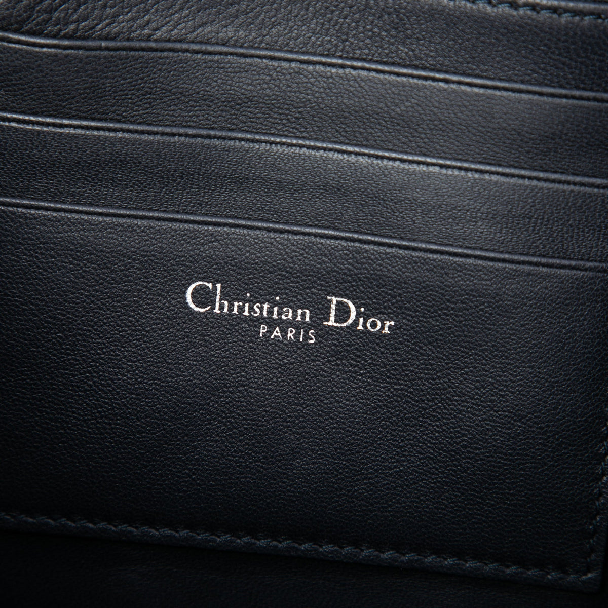 Dior Metallic Leather Shadow Soft Pouch on Chain