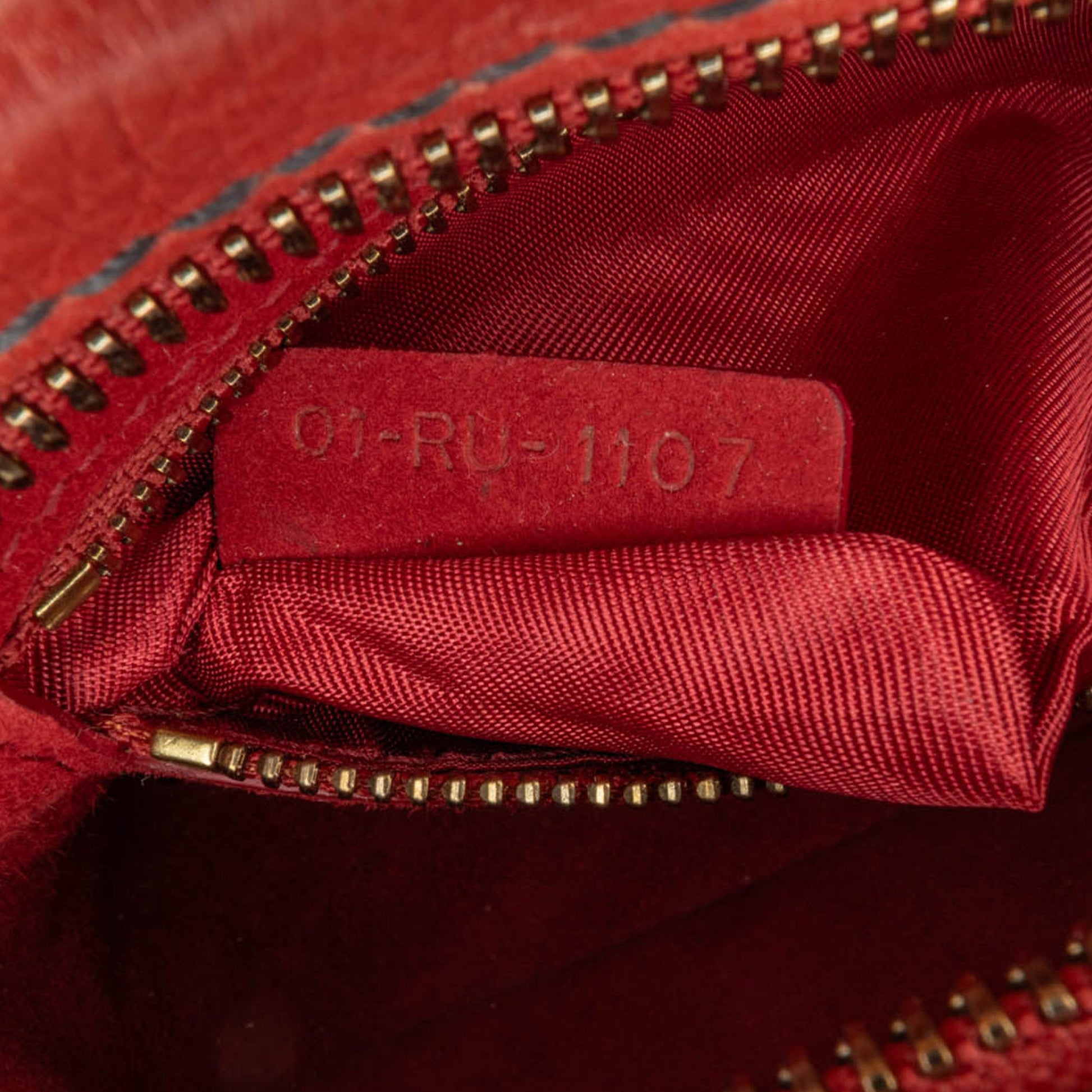 Dior Leather JAdior Camera Bag
