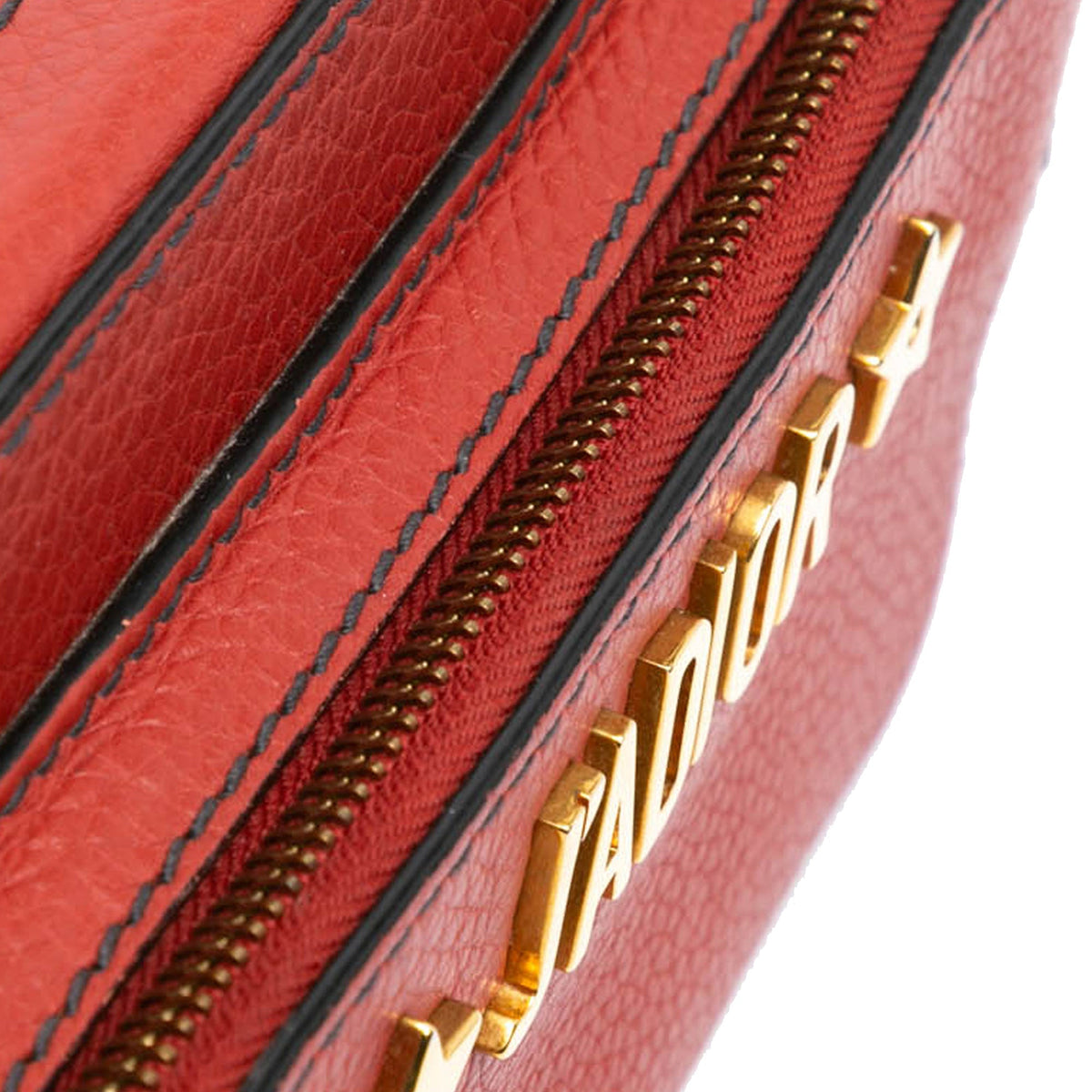 Dior Leather JAdior Camera Bag