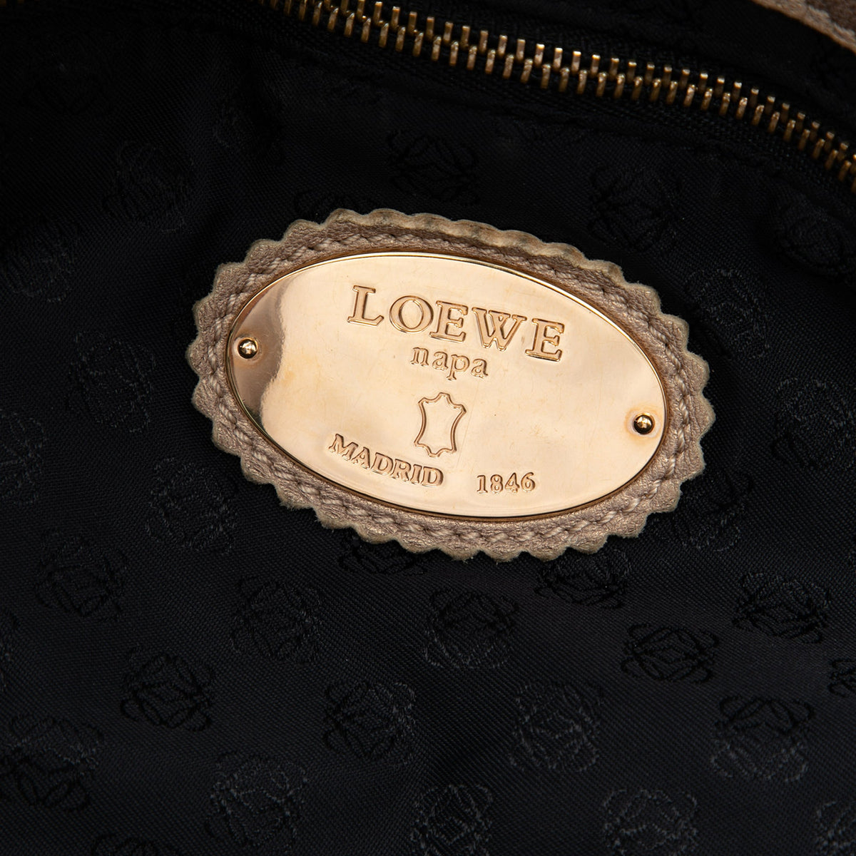 LOEWE Metallic Nappa Aire
