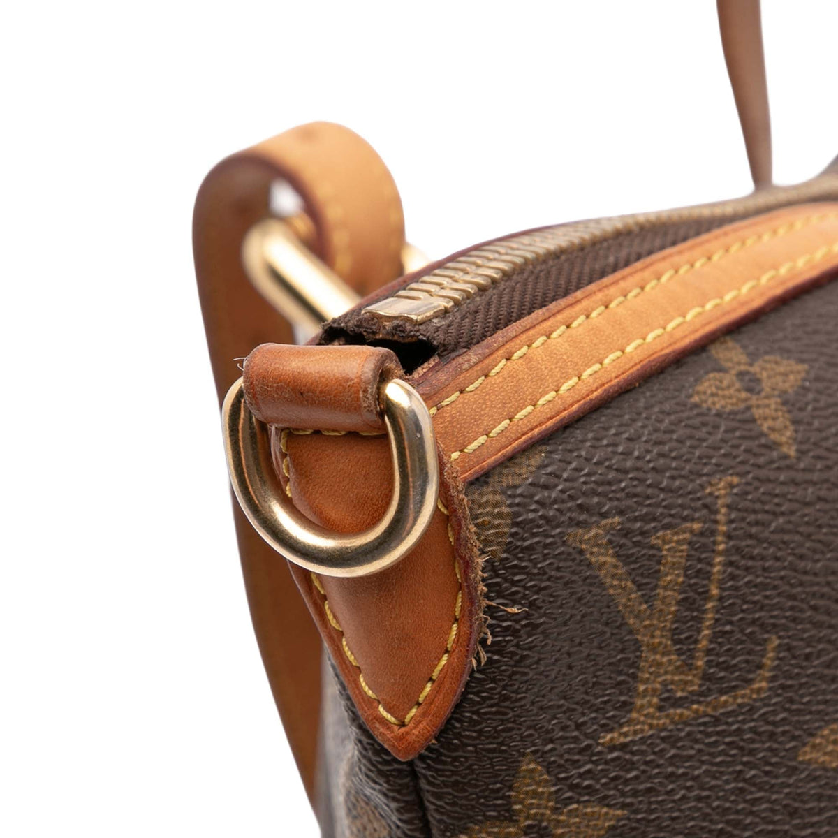 Louis Vuitton Monogram Palermo GM