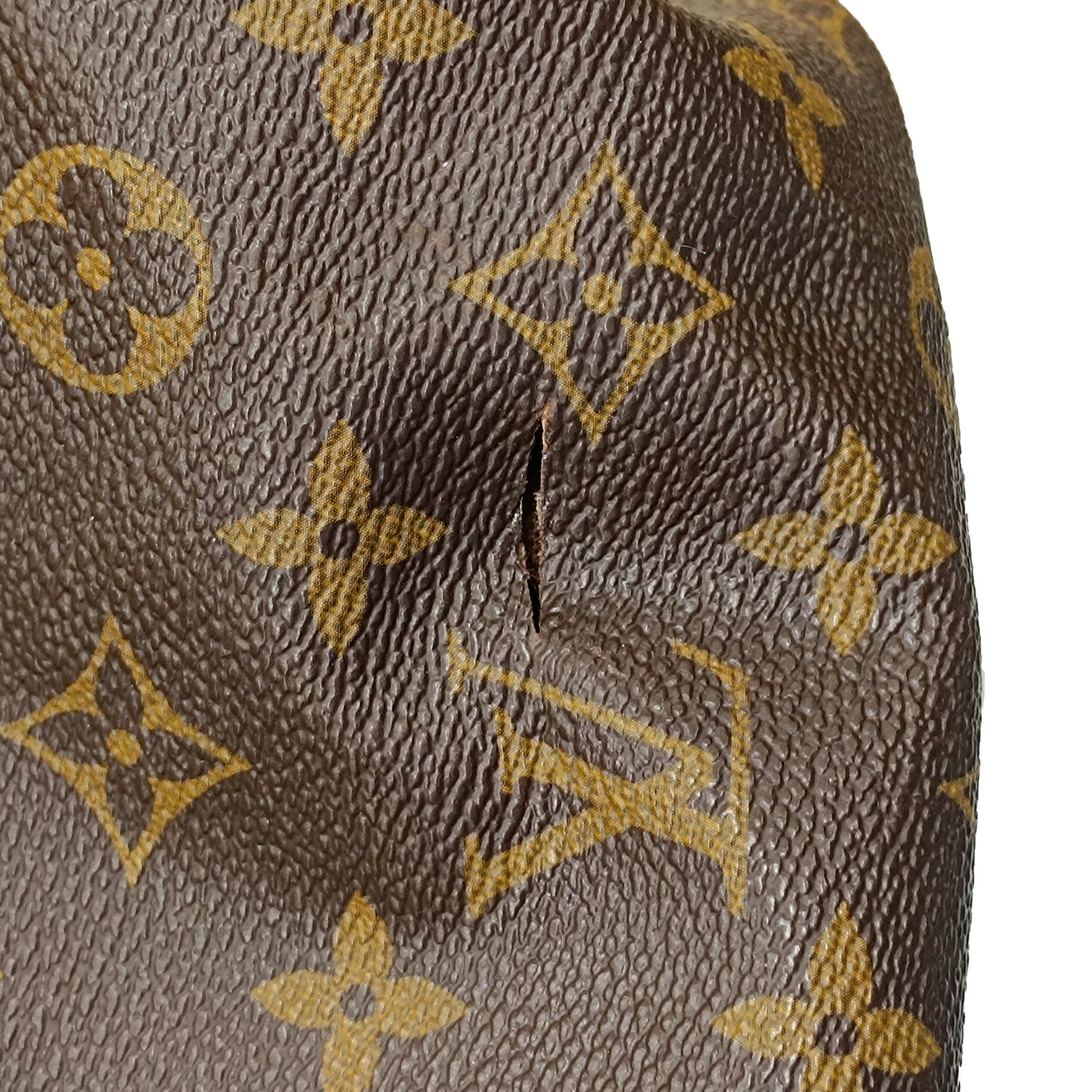 Louis Vuitton Monogram Palermo GM