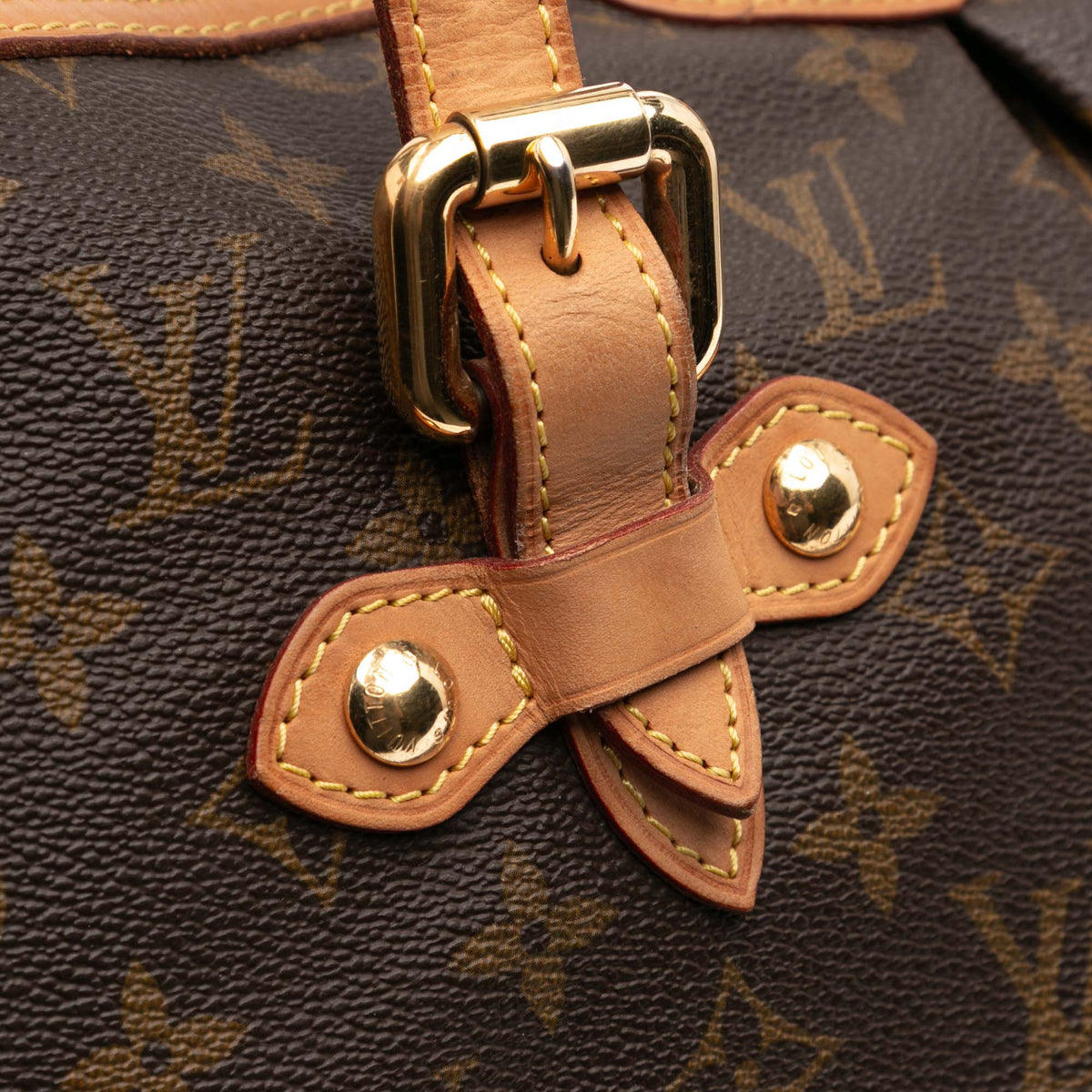Louis Vuitton Monogram Palermo GM