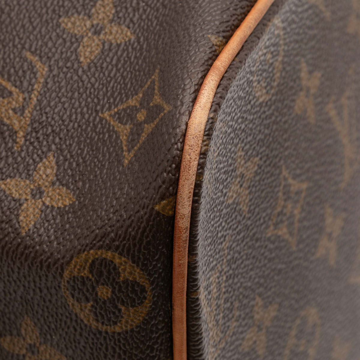Louis Vuitton Monogram Palermo GM