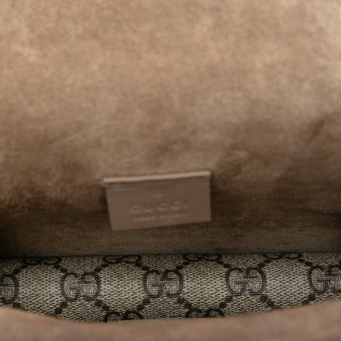 Gucci Small GG Supreme Dionysus Crossbody