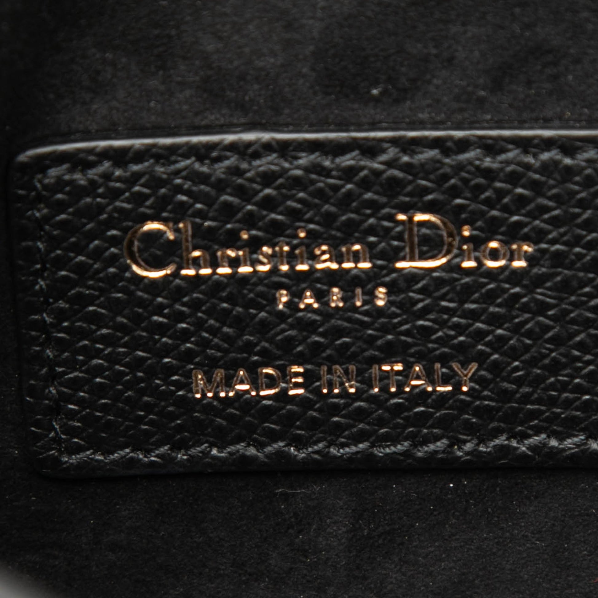 Dior Grained Calfskin Saddle Belt Pouch
