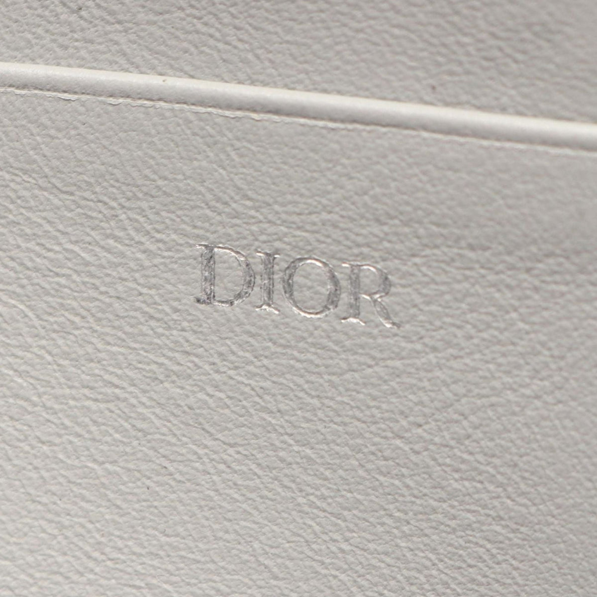 Dior Nike Air Jordan Wing Logo Crossbody — Gray