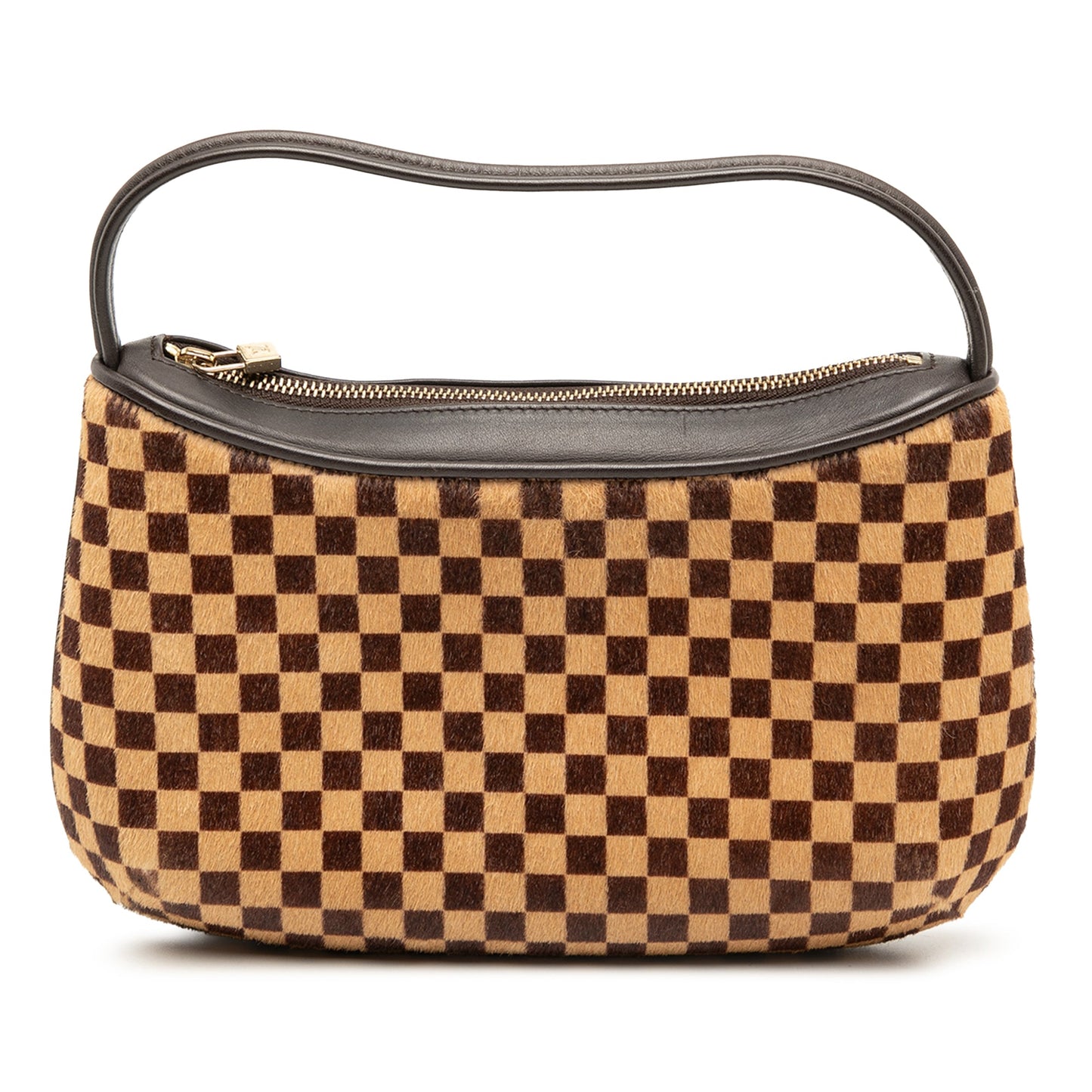 Louis Vuitton Damier Sauvage Tigre