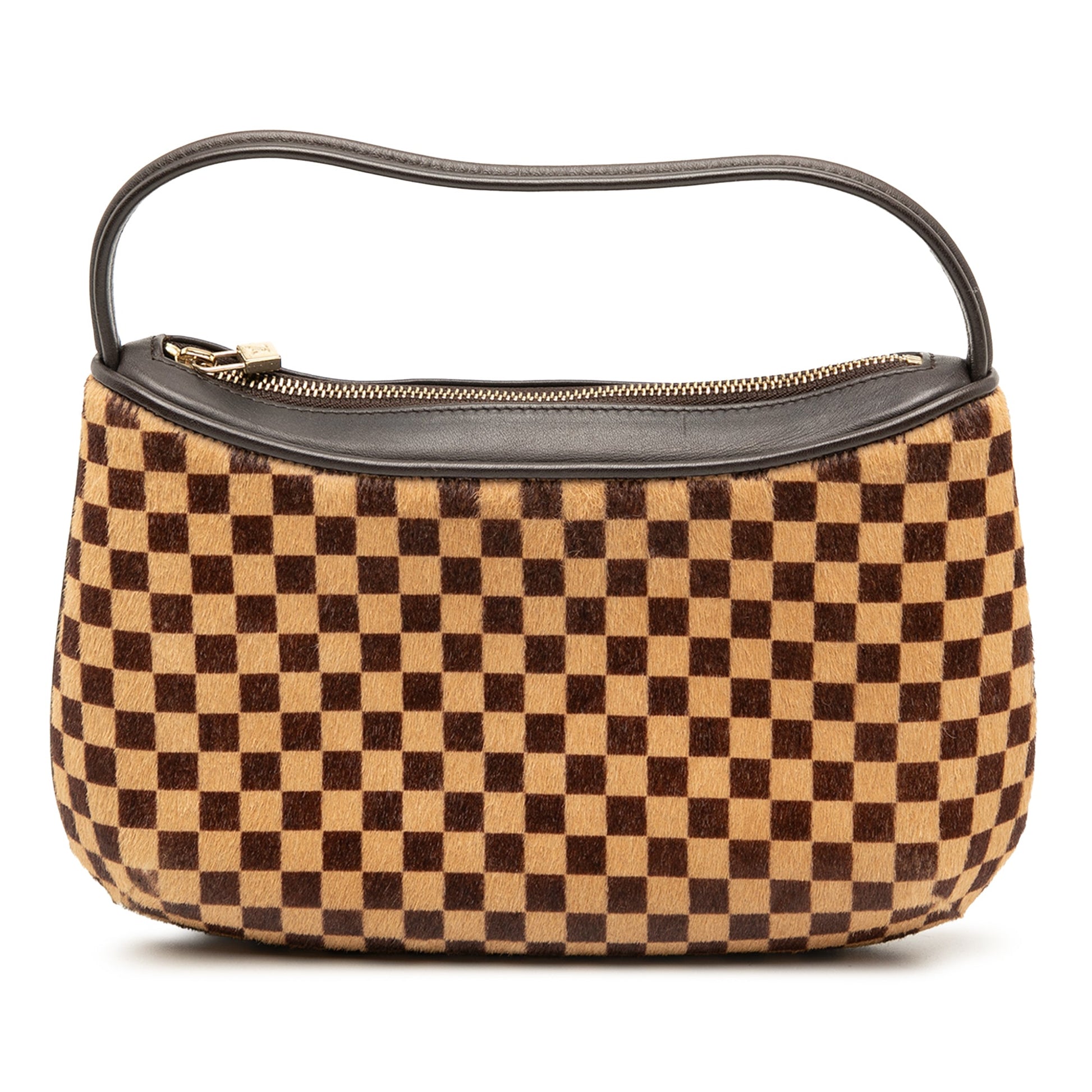 Louis Vuitton Damier Sauvage Tigre