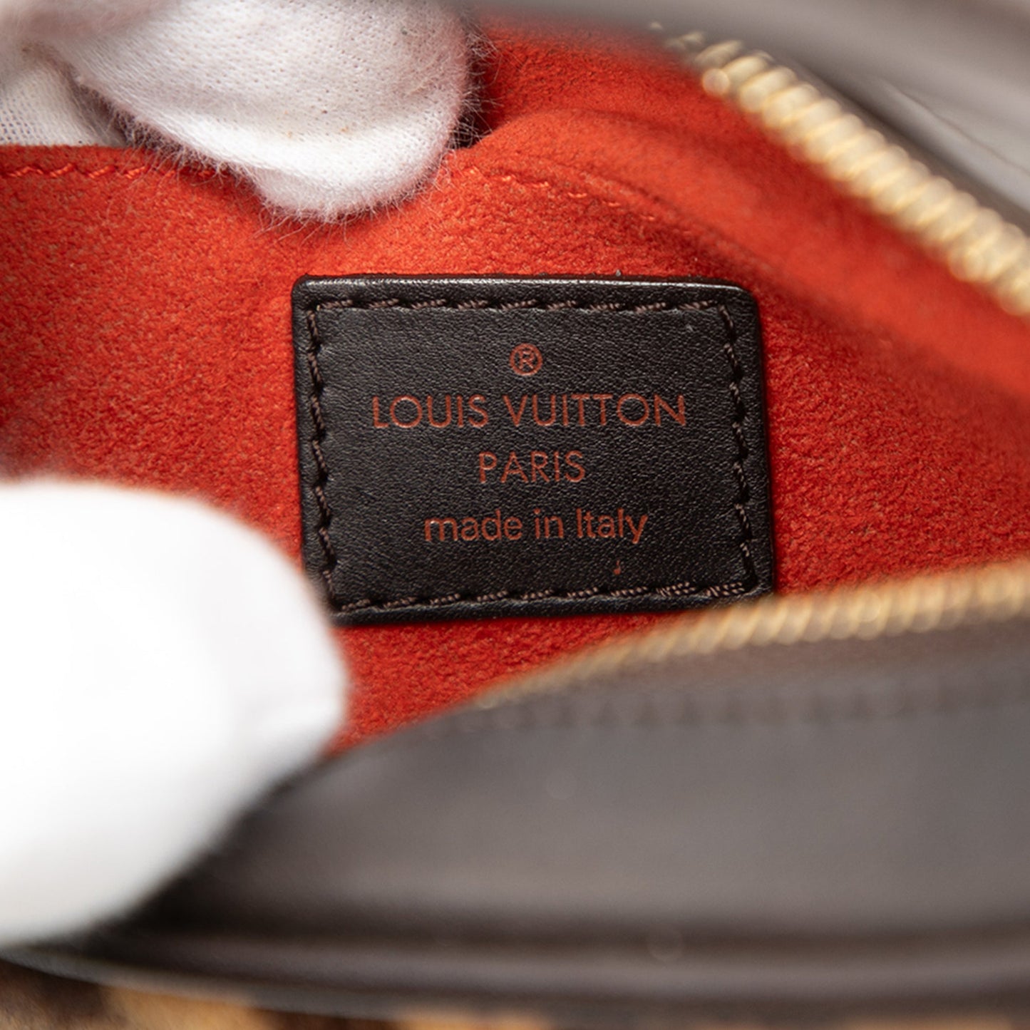 Louis Vuitton Damier Sauvage Tigre