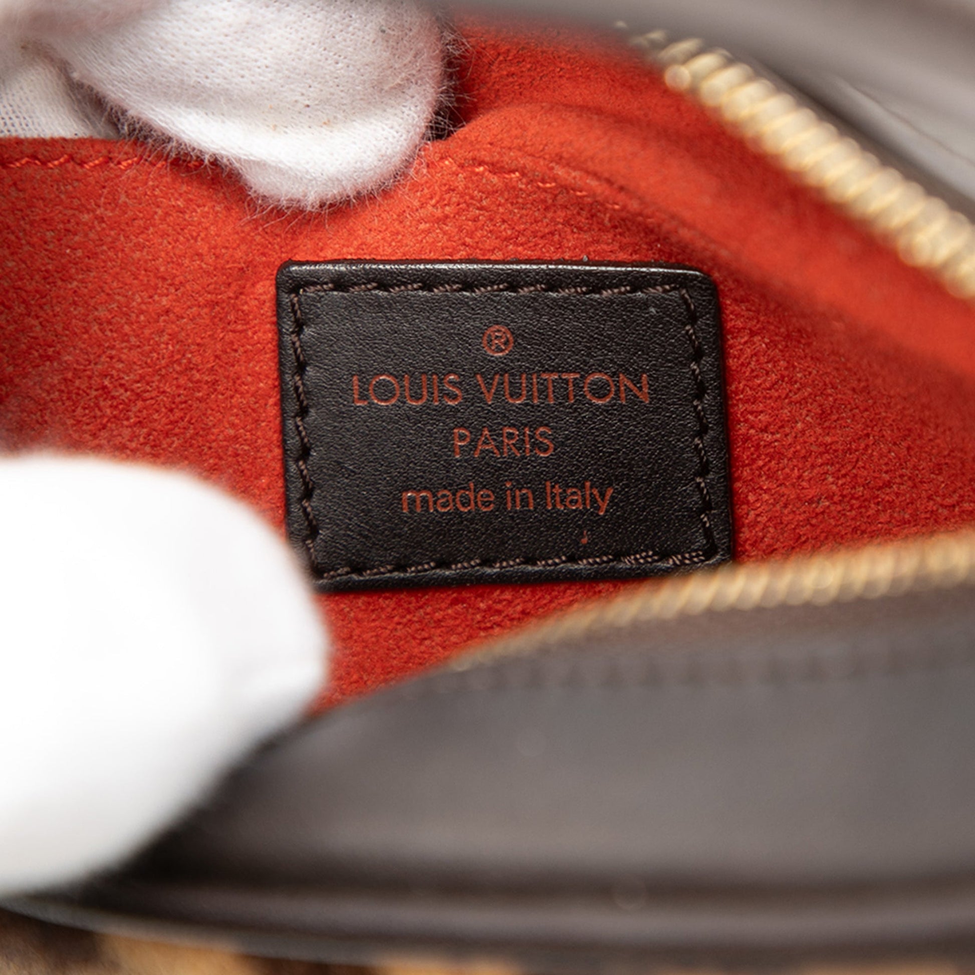 Louis Vuitton Damier Sauvage Tigre