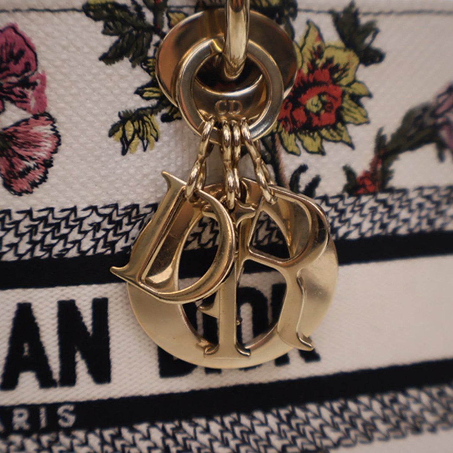 Dior Medium Embroidered Floral Canvas Lady D Joy