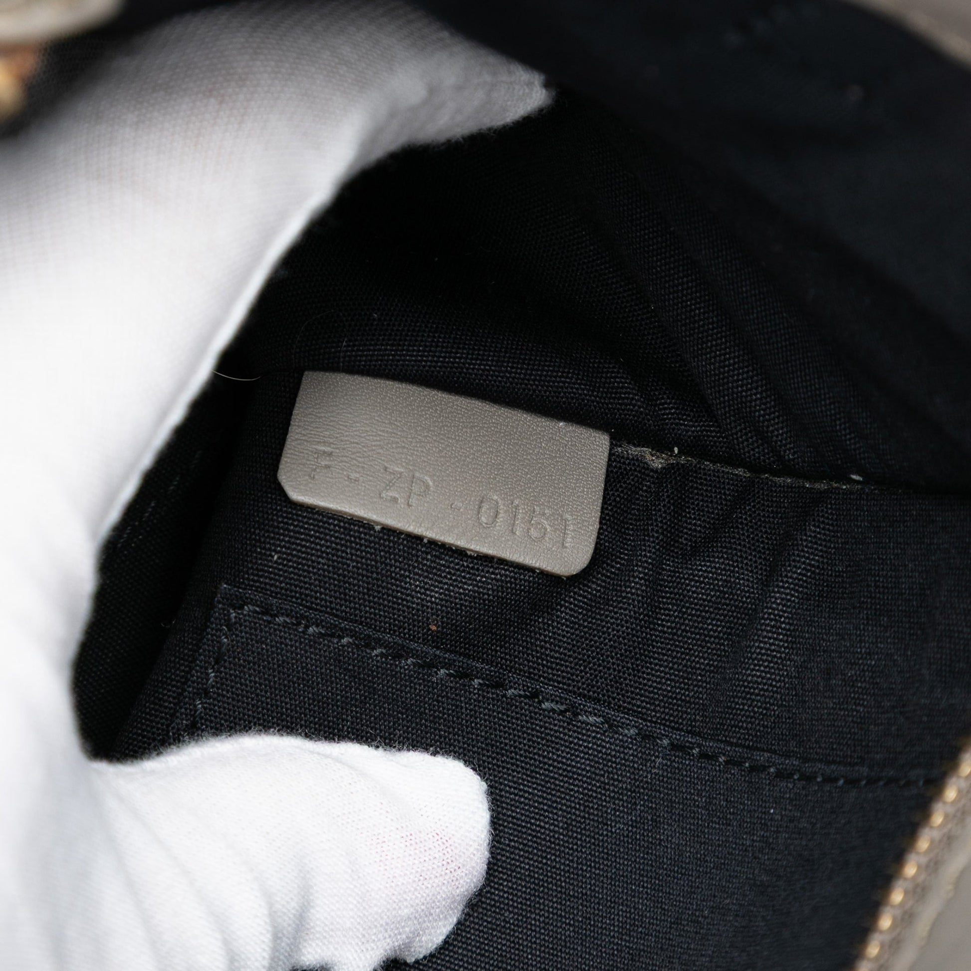 Nano Leather Luggage Tote
