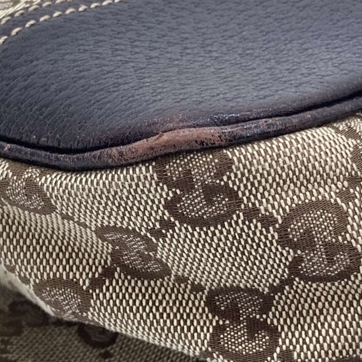 Gucci GG Canvas Princy Tote