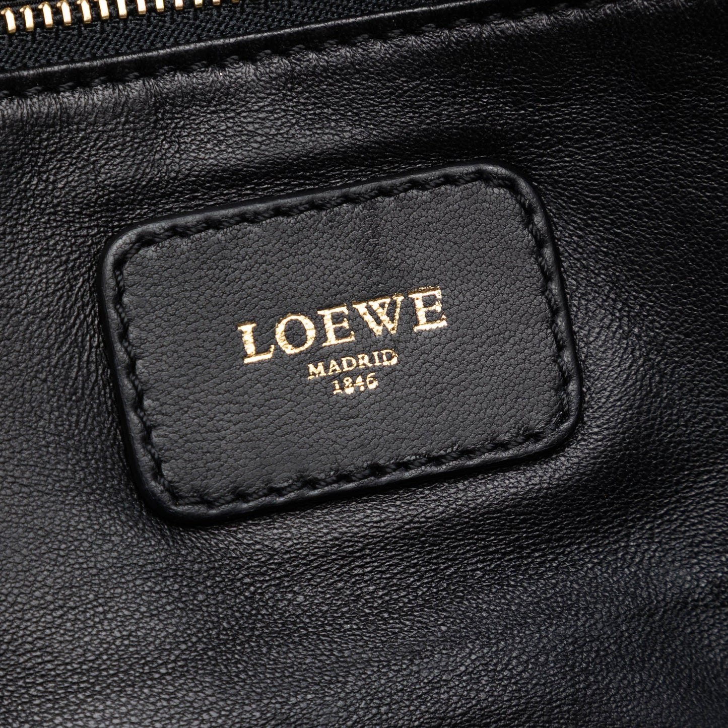 LOEWE Metallic Goatskin Amazona 36