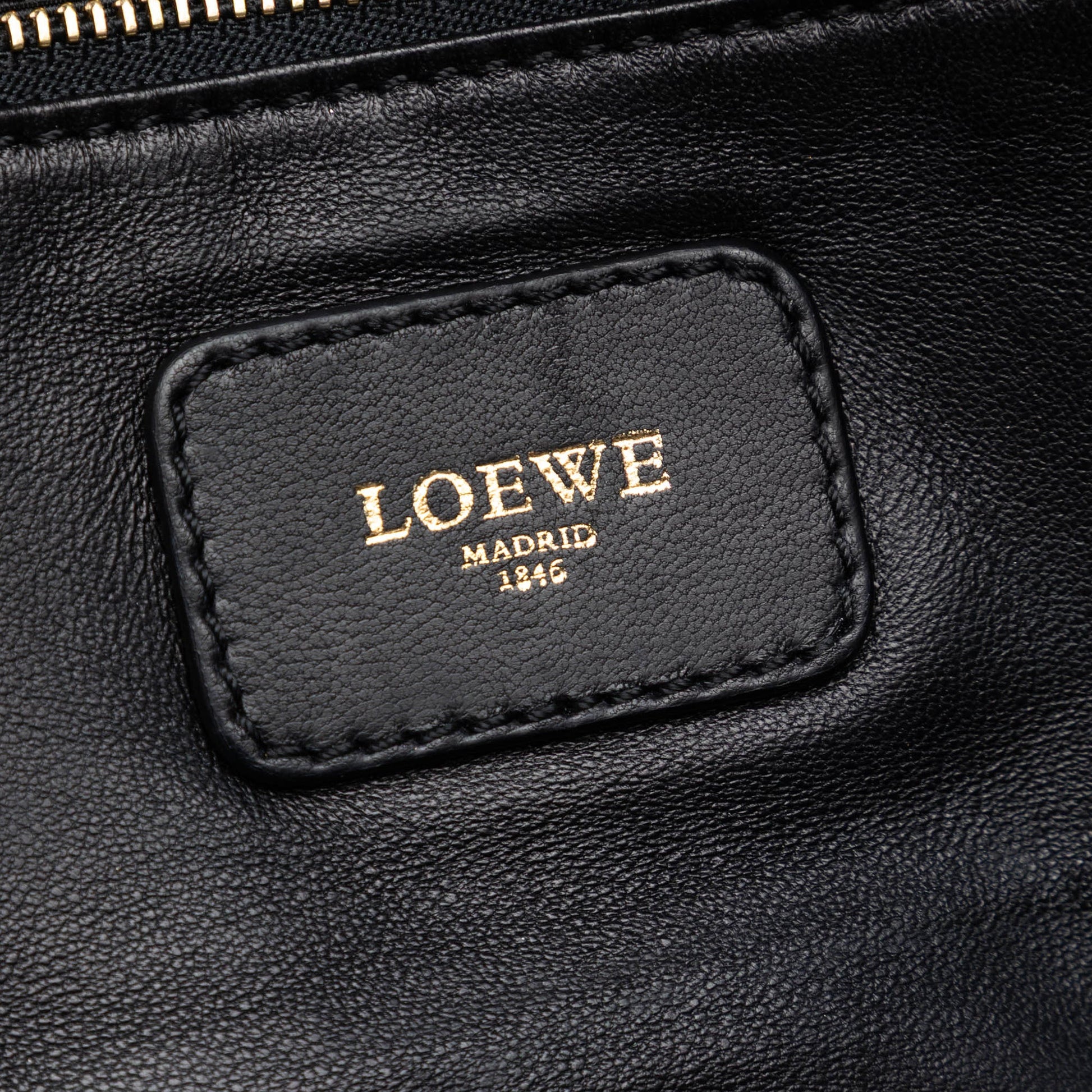 LOEWE Metallic Goatskin Amazona 36