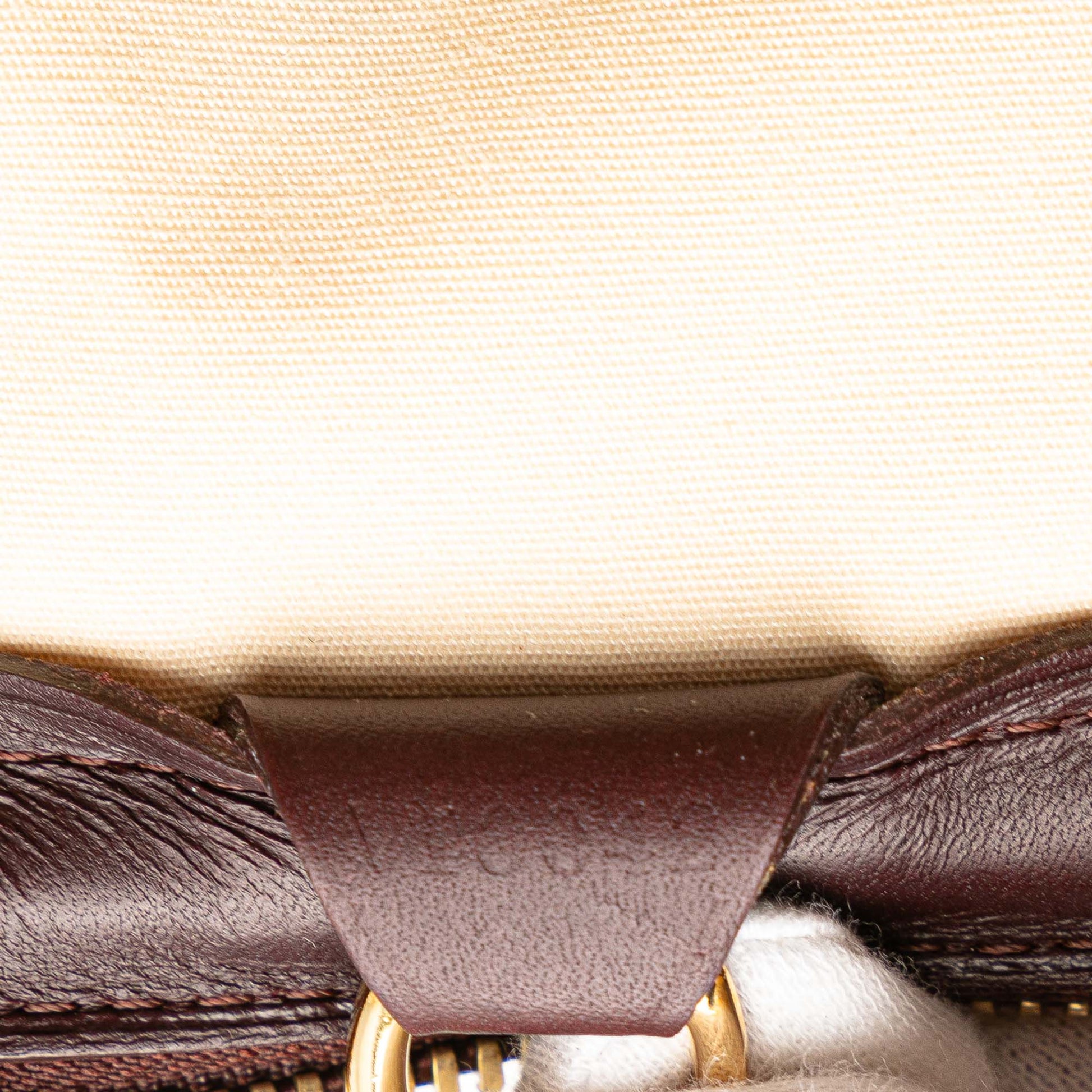Louis Vuitton Monogram Mini Lin Josephine PM