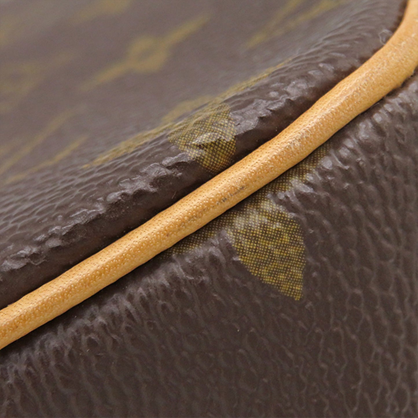 Louis Vuitton Monogram Excentri Cite
