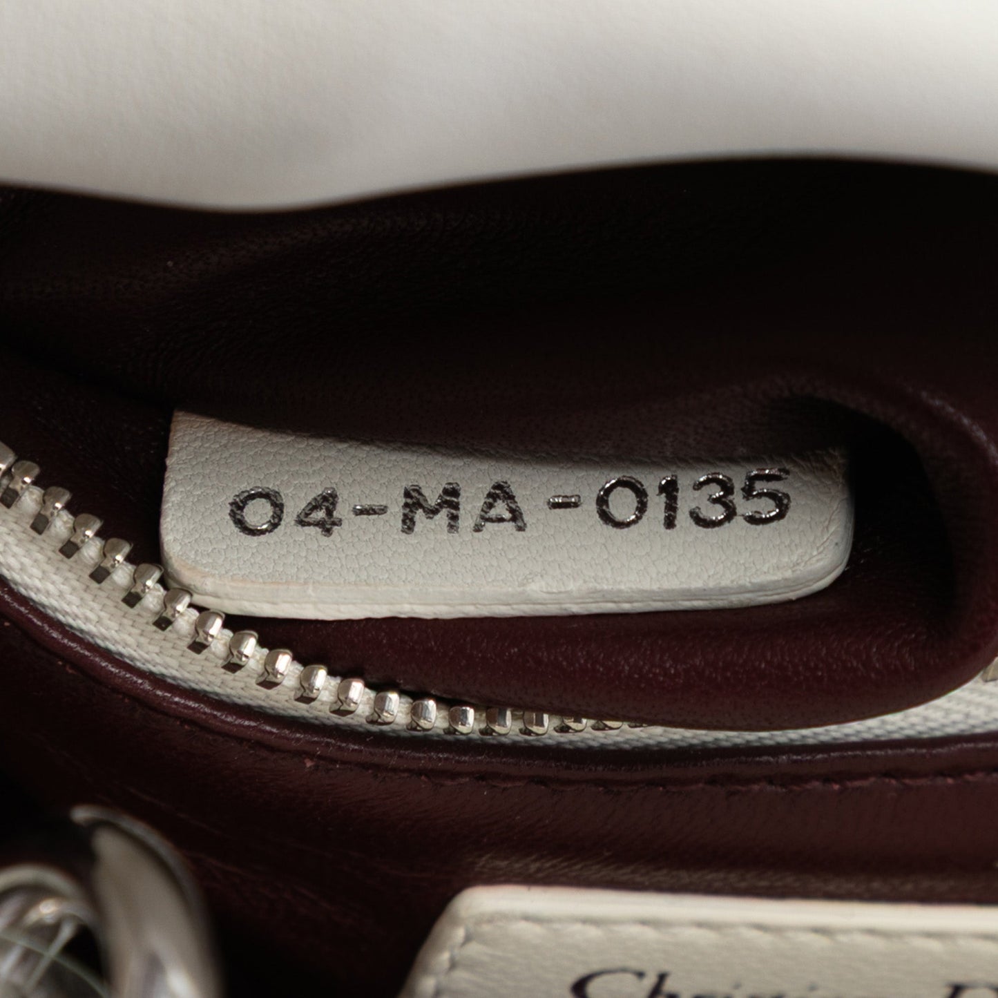 Dior Mini Embroidered Calfskin Lady Dior