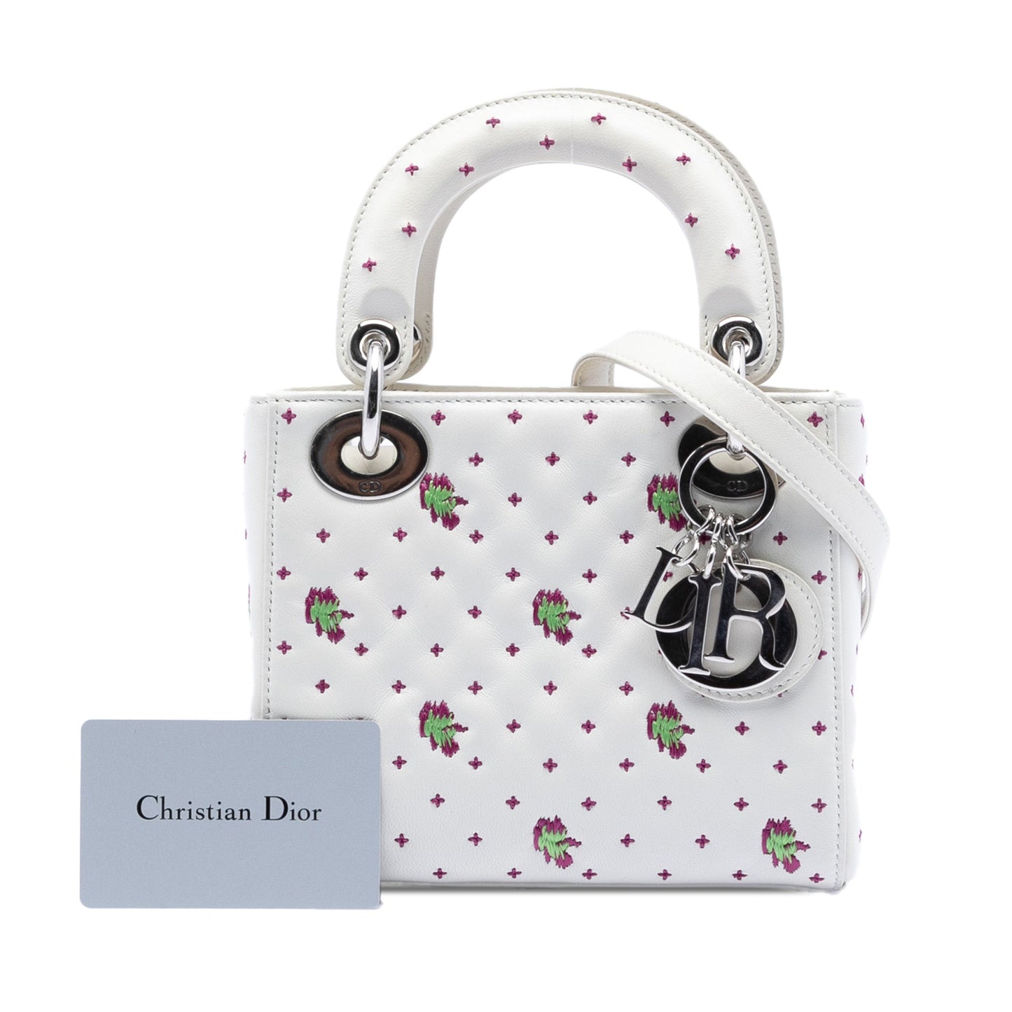 Dior Mini Embroidered Calfskin Lady Dior