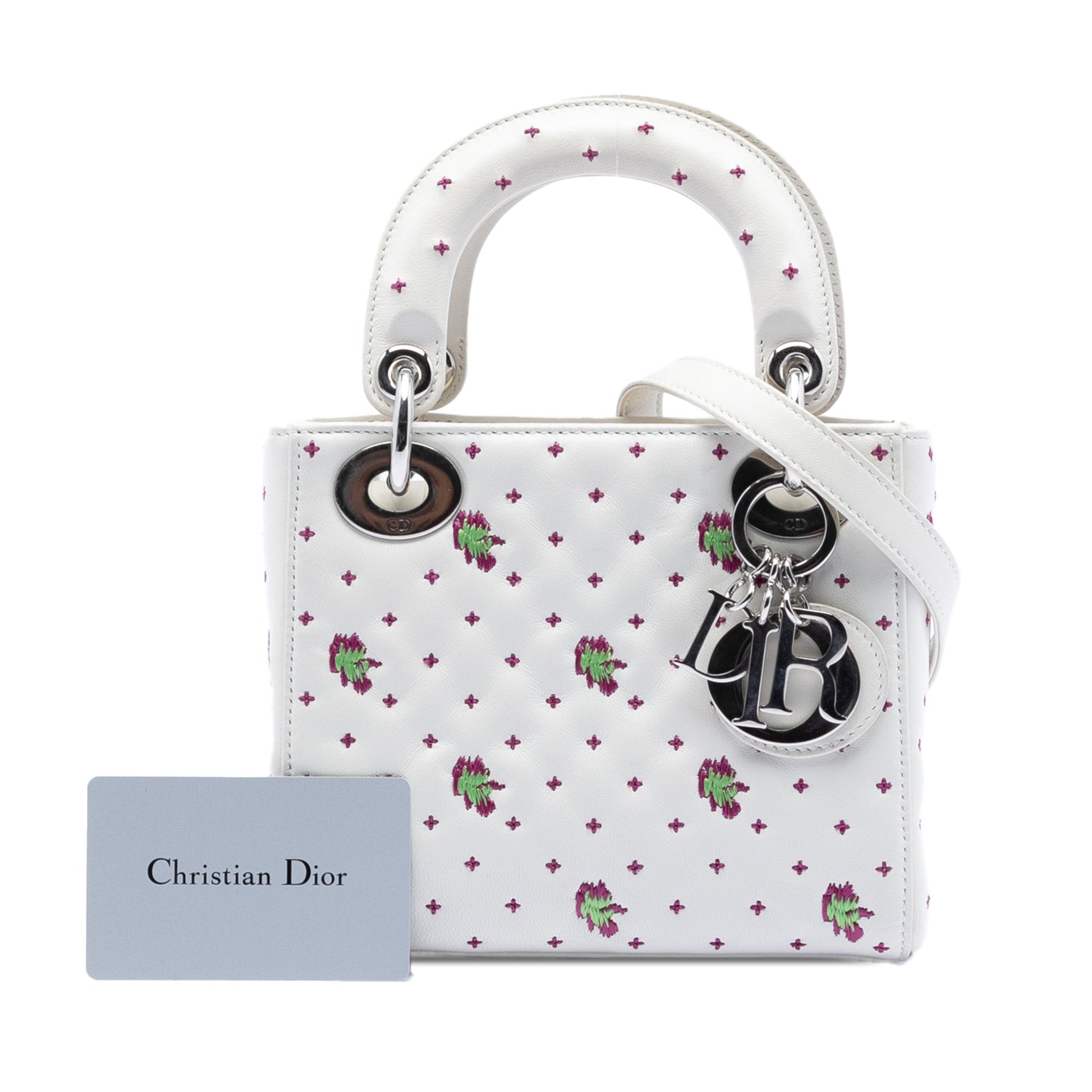 Dior Mini Embroidered Calfskin Lady Dior
