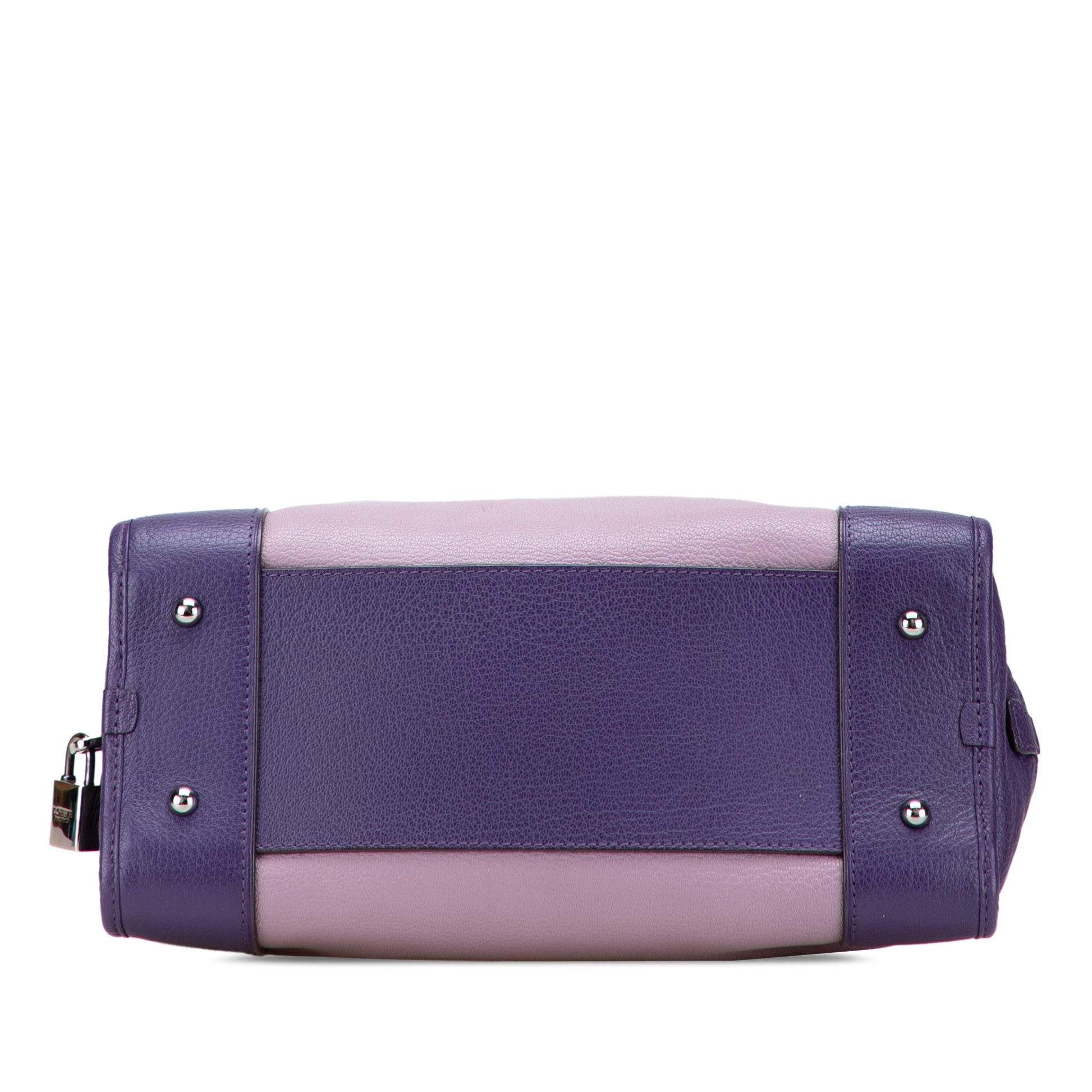 LOEWE Tricolor Goatskin Amazona 28