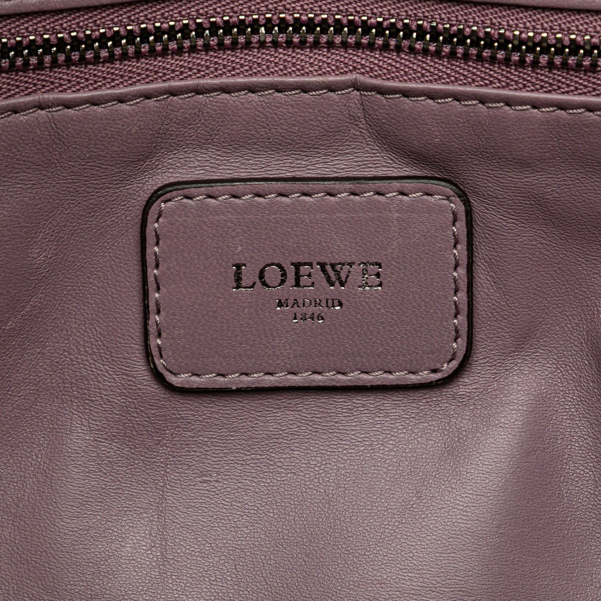 LOEWE Tricolor Goatskin Amazona 28