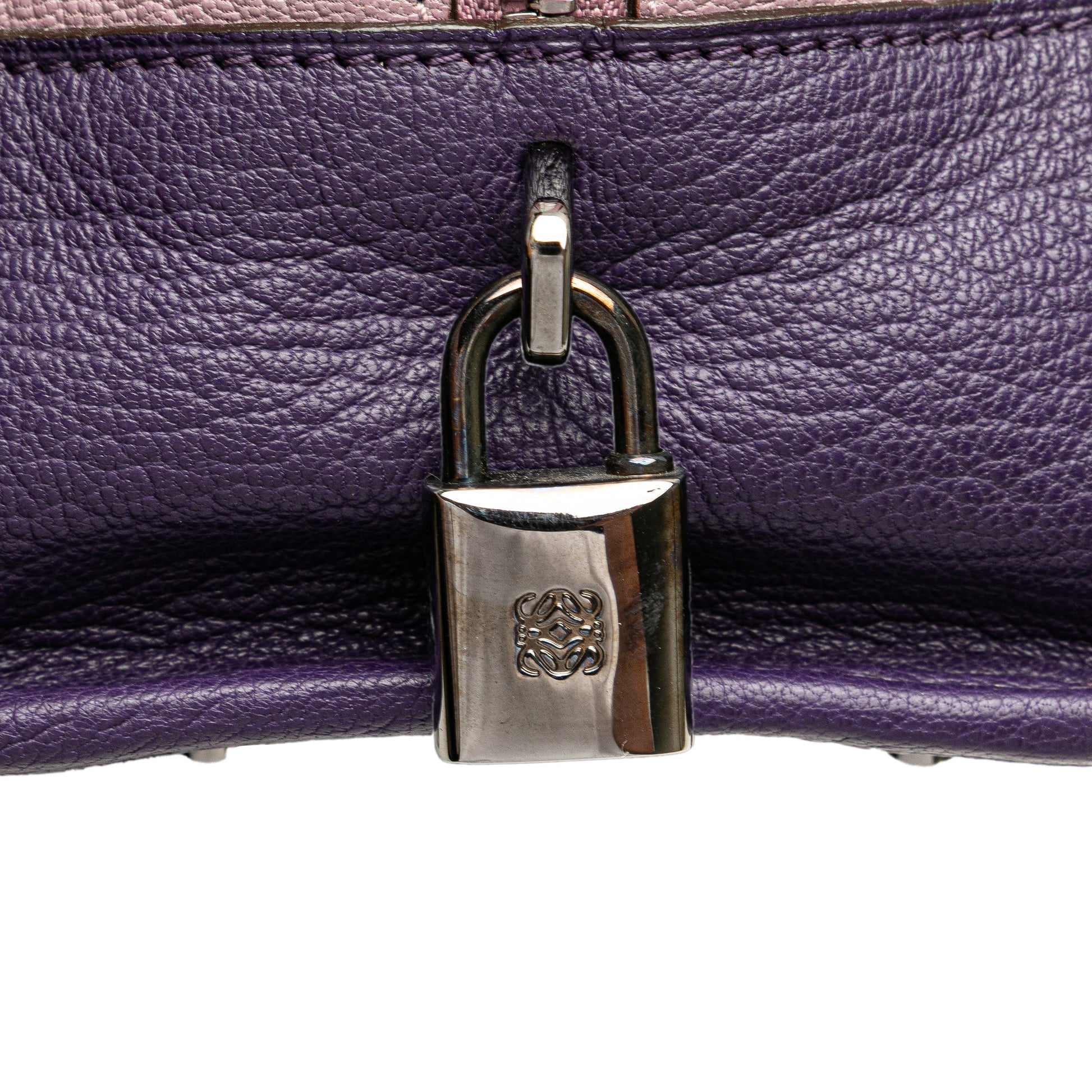 LOEWE Tricolor Goatskin Amazona 28