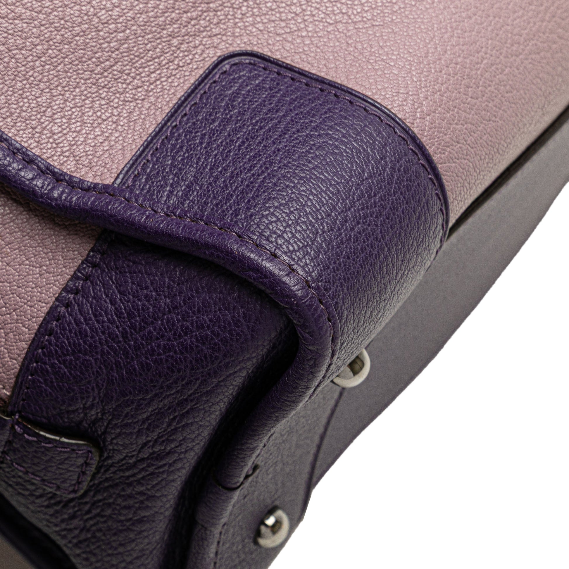 LOEWE Tricolor Goatskin Amazona 28