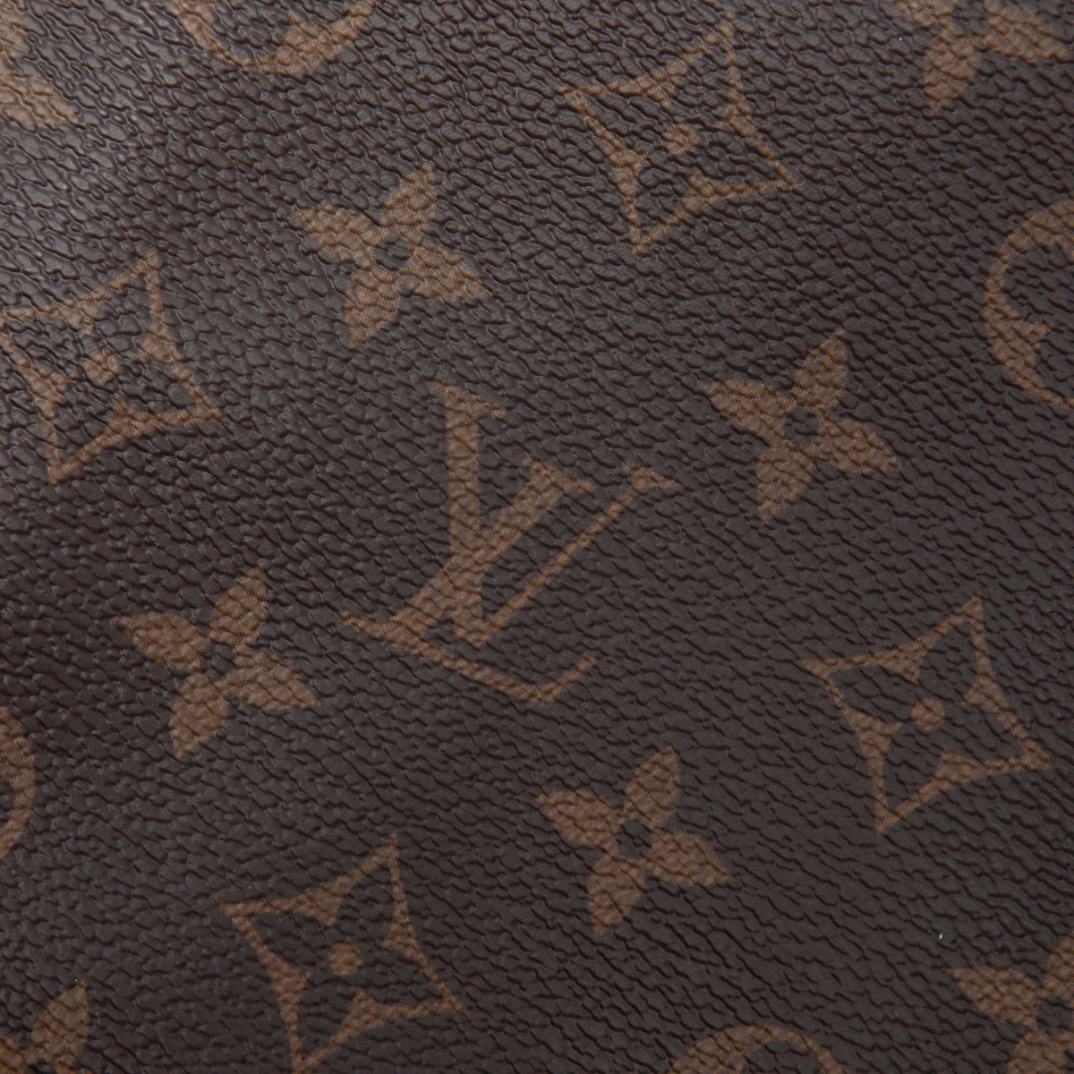 Louis Vuitton Monogram Shoe Pouch