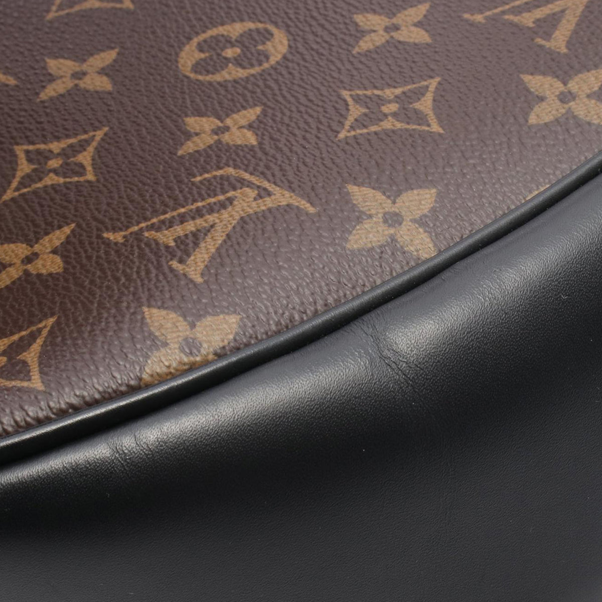 Louis Vuitton Monogram Macassar Josh