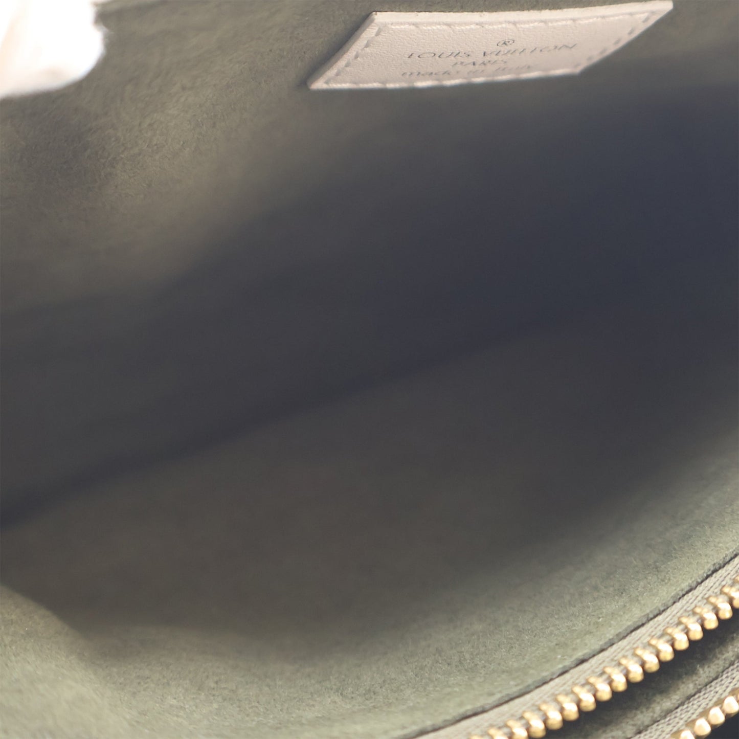 Louis Vuitton Monogram Embossed Puffy Lambskin Coussin PM