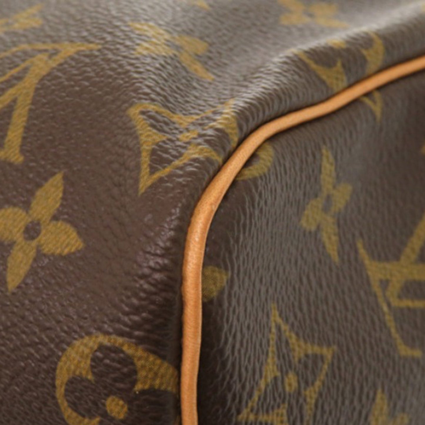 Louis Vuitton Monogram Speedy 25