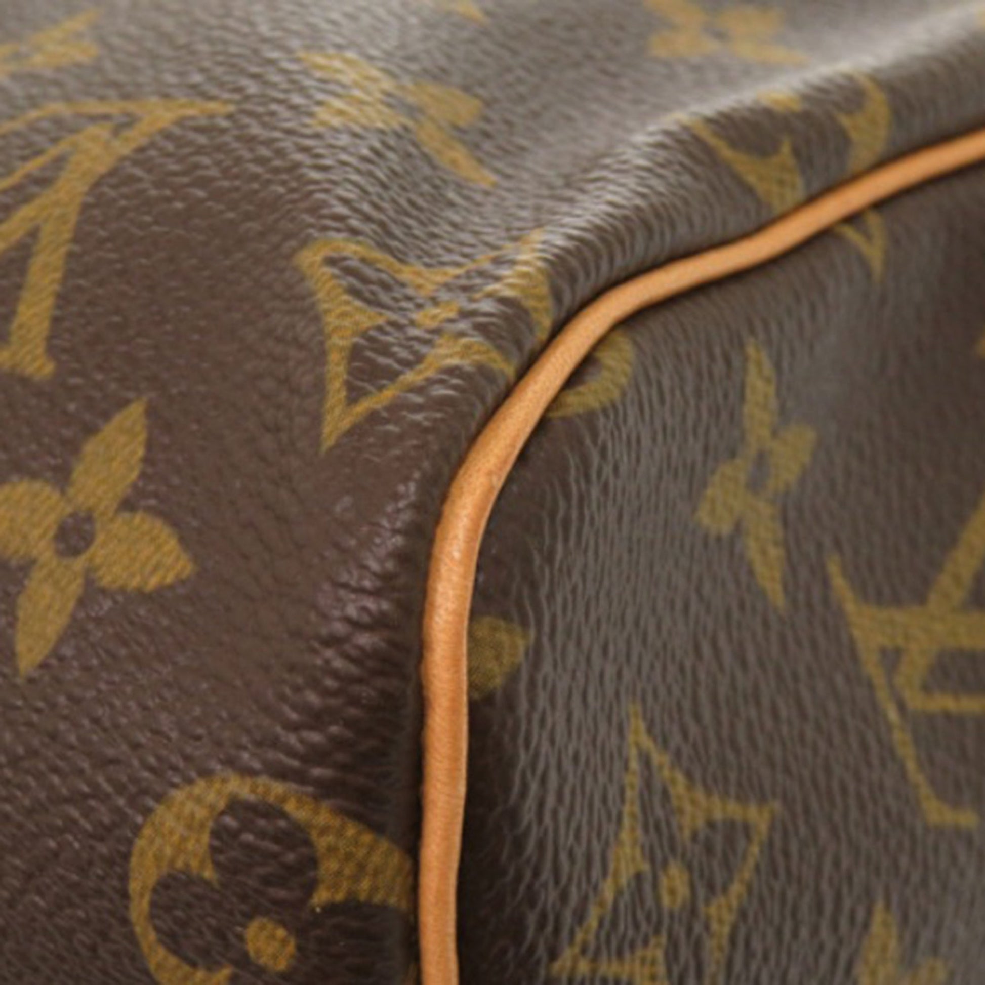 Louis Vuitton Monogram Speedy 25