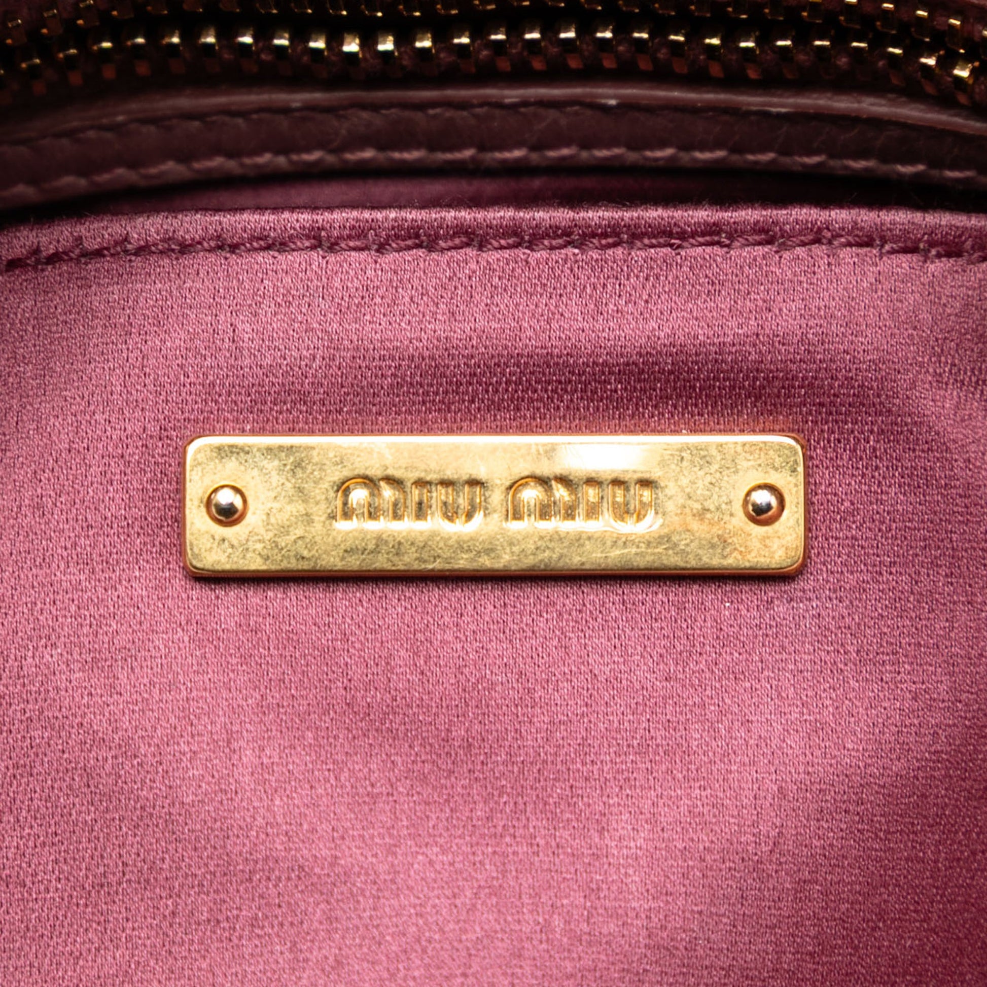 Miu Miu Vitello Shine Trapu Crossbody