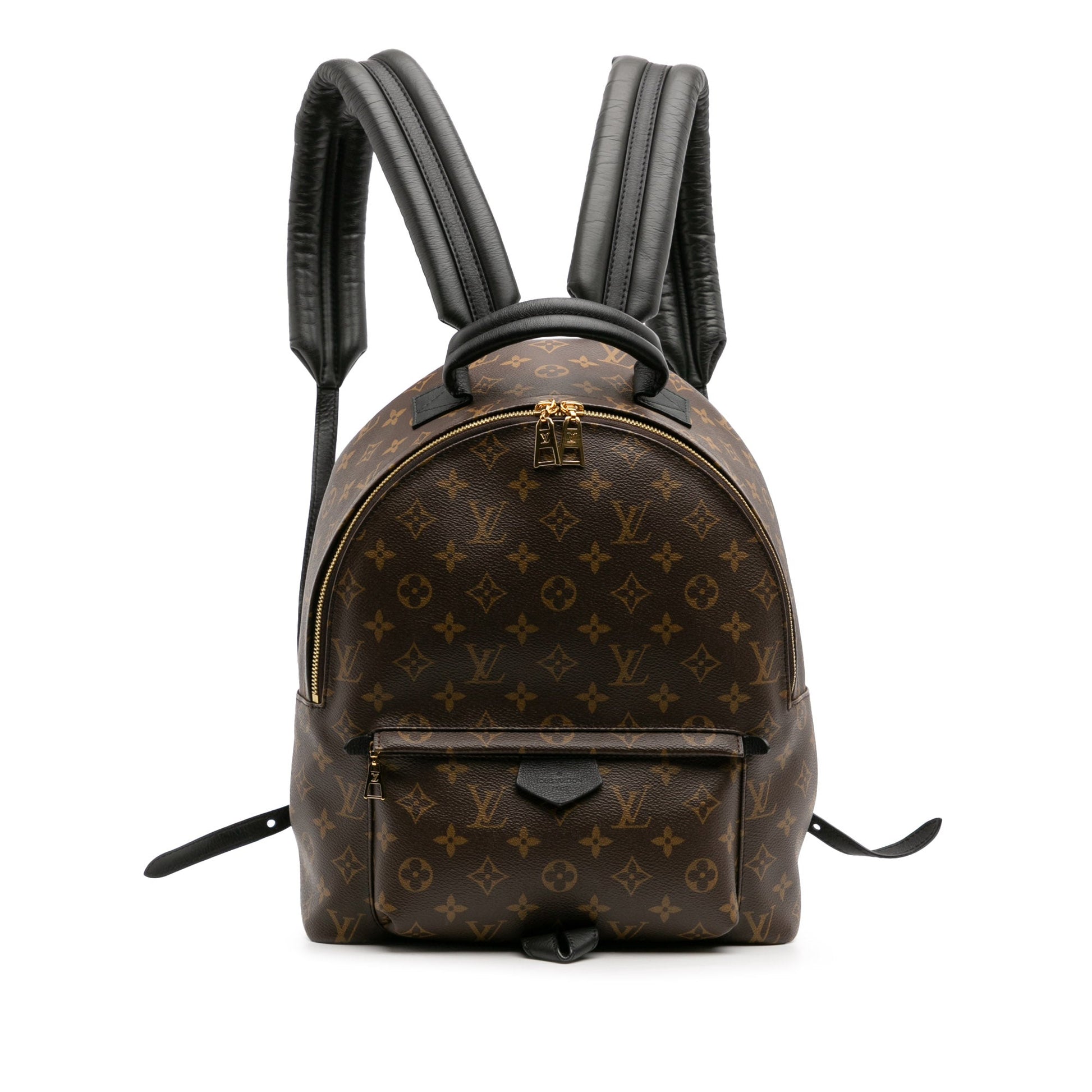 Louis Vuitton Monogram Palm Springs MM