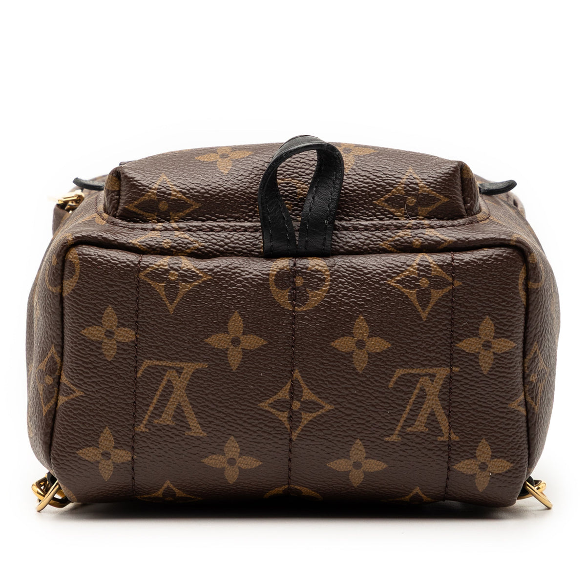 Louis Vuitton Monogram Mini Palm Springs